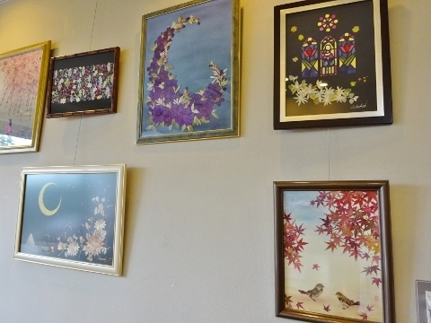 押し花展示3
